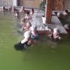 Návštevá rímskych kúpeľov v Podhájskej 